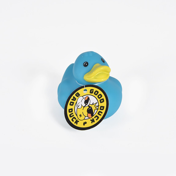 Blue Sea Duck